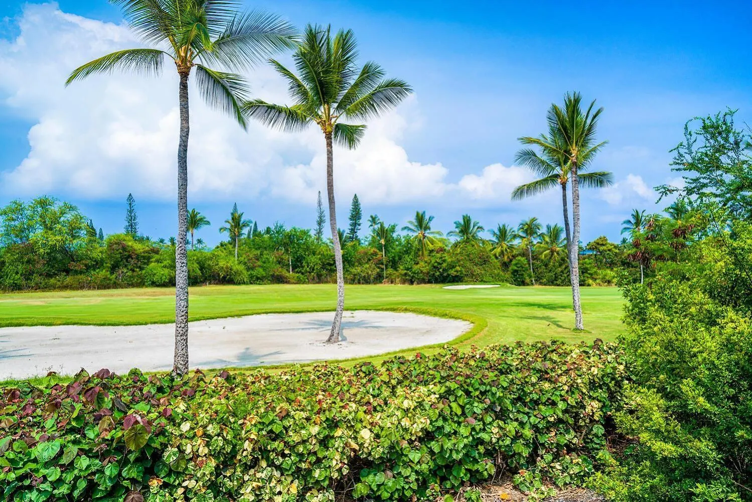 Keauhou Punahele#B-308 Kailua-Kona 0*,  Estados Unidos